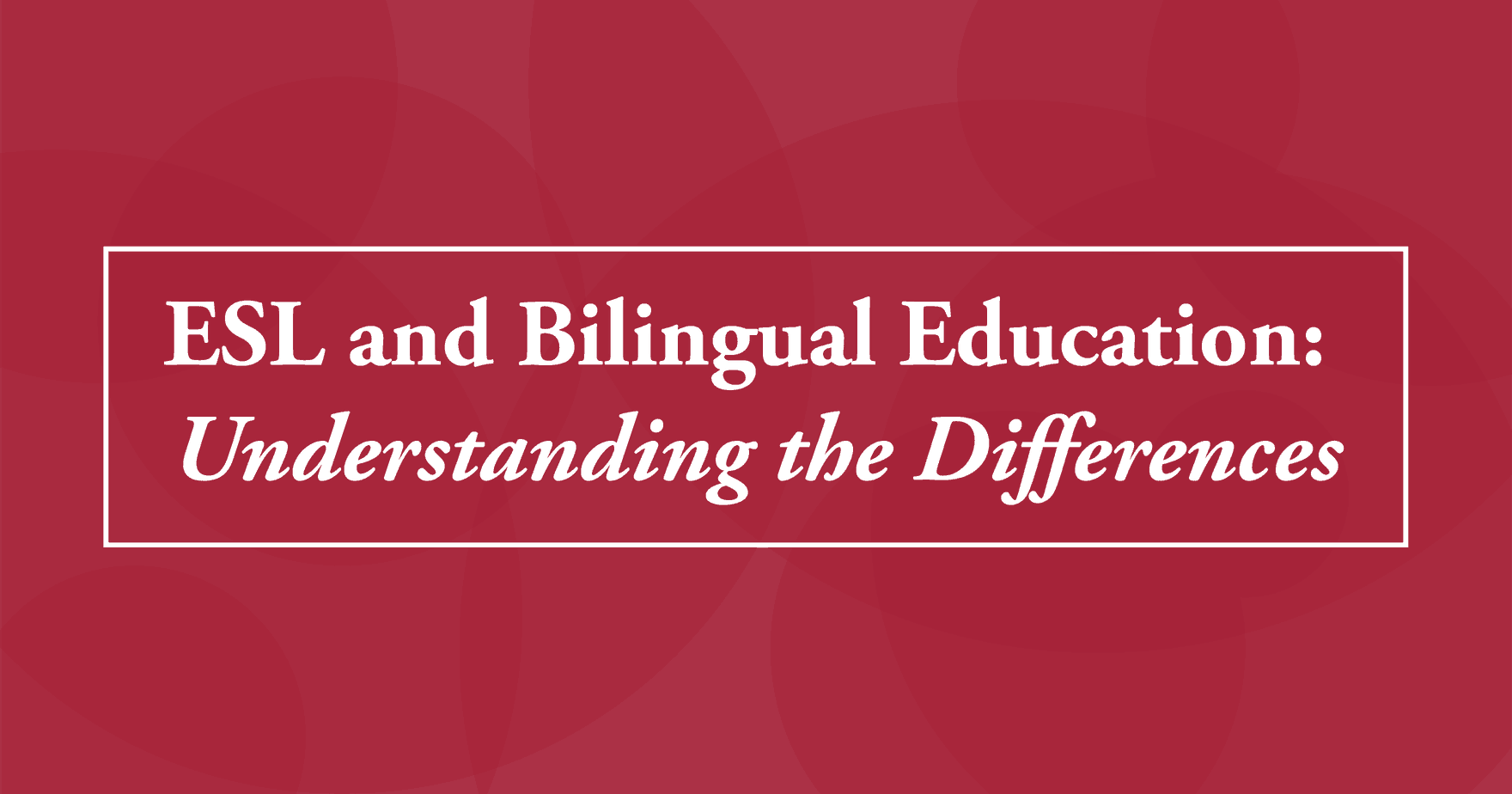 Bilingual Blog 2